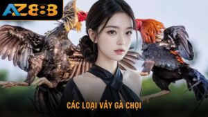 Tổng hợp chi tiết các loại vảy gà chọi mạnh yếu