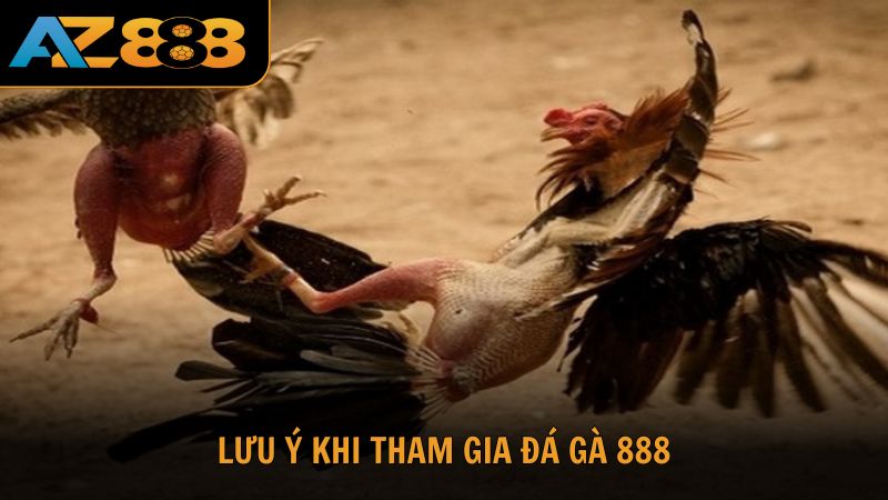Lưu ý khi tham gia đá gà 888 cùng nhà cái AZ888