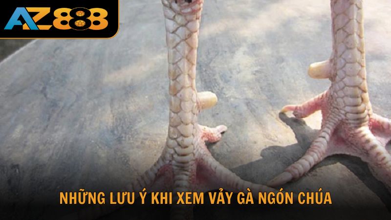 Một số lưu ý khi xem vảy gà ngón chúa từ AZ888